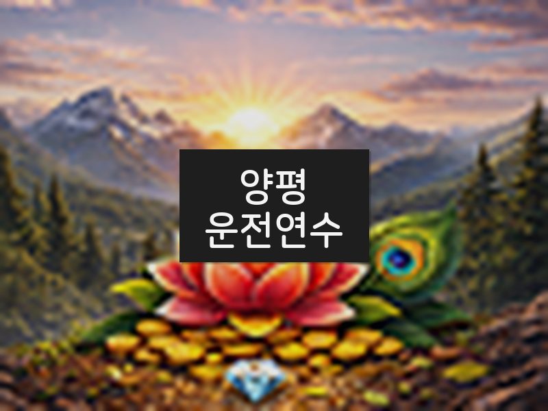양평운전연수 후기