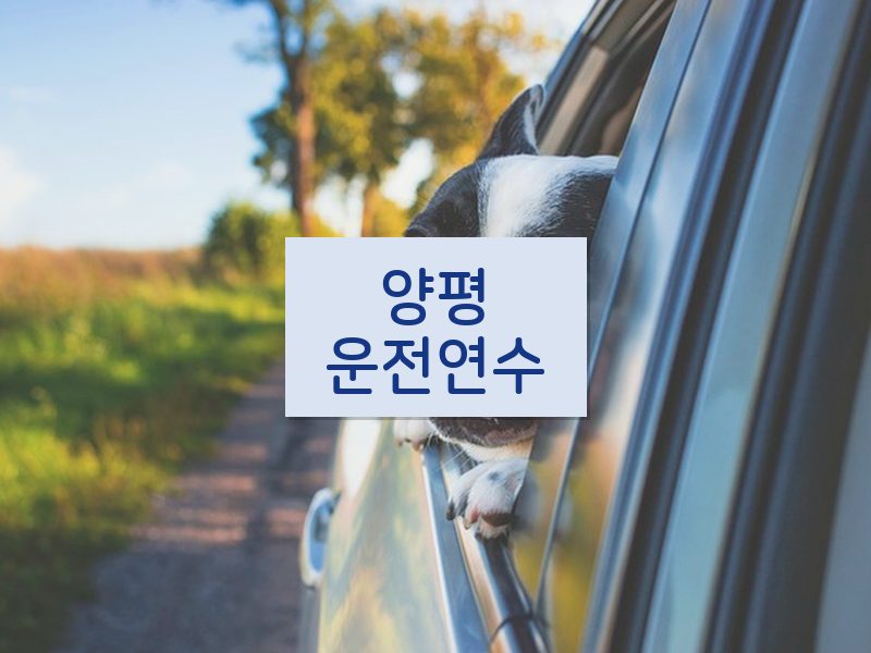 양평운전연수 후기