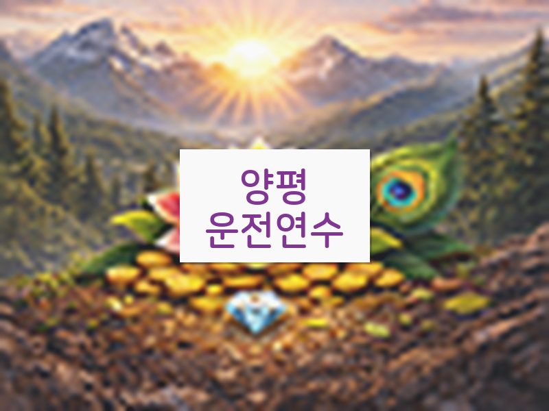 양평운전연수 후기