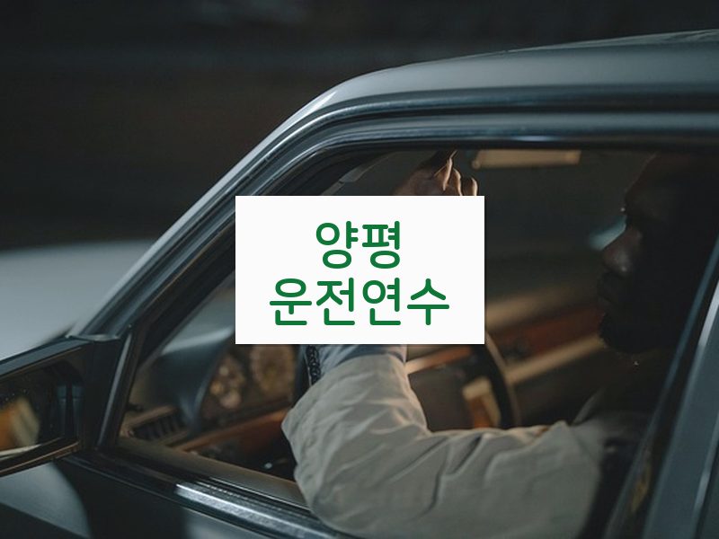 양평운전연수 후기