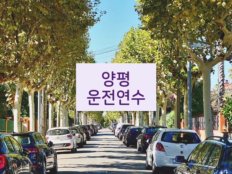양평운전연수 후기