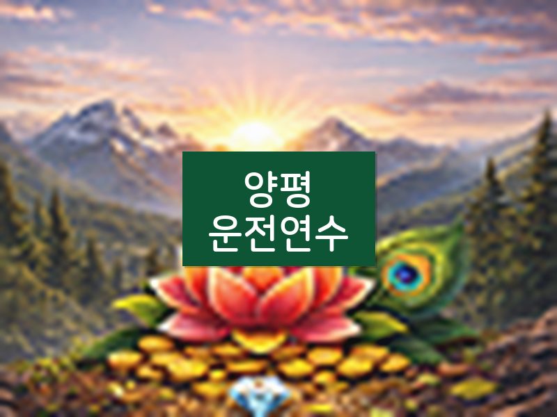 양평운전연수 후기