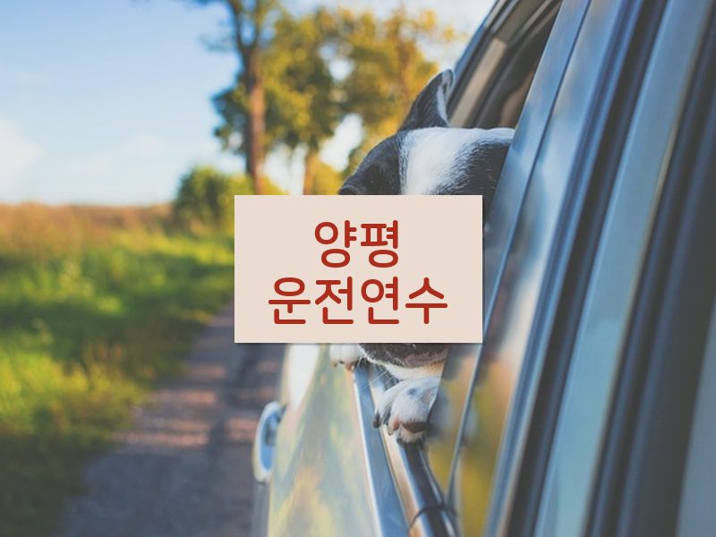 양평운전연수 후기