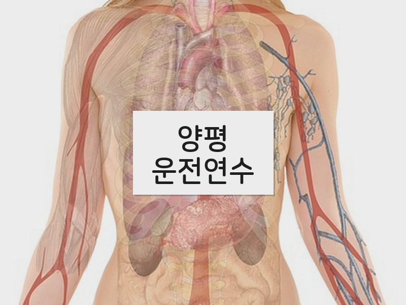 양평운전연수 후기