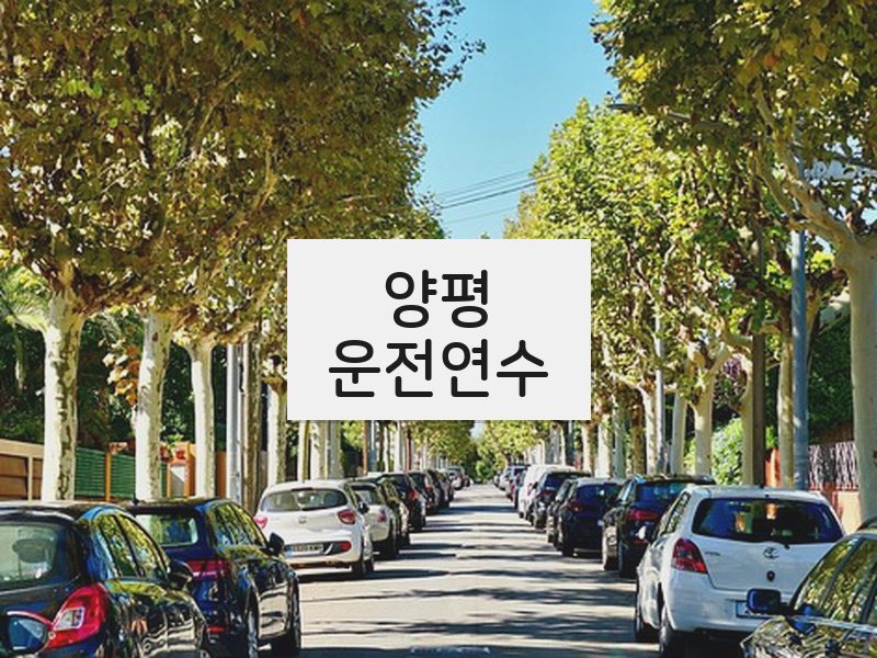 양평운전연수 후기