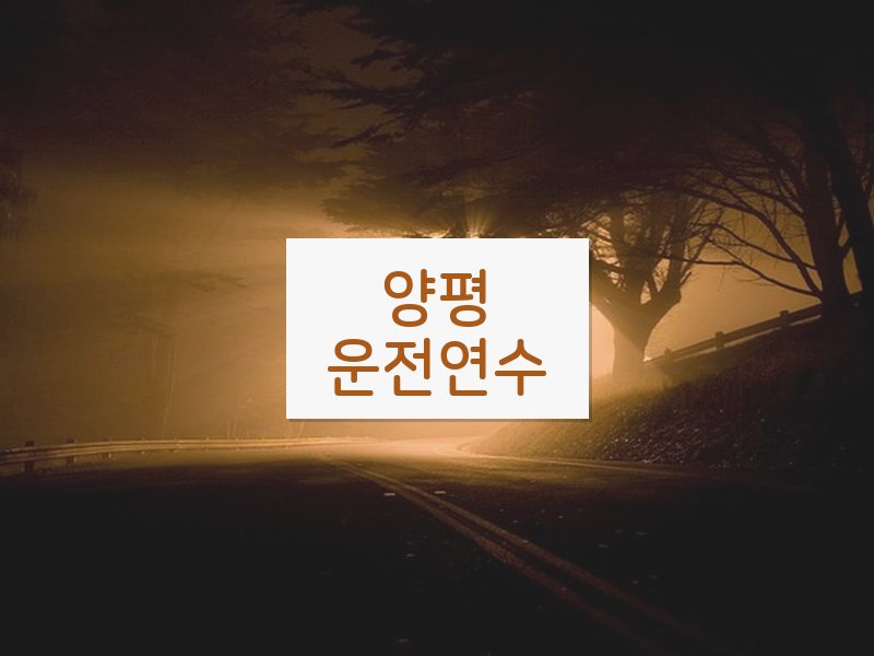양평운전연수 후기