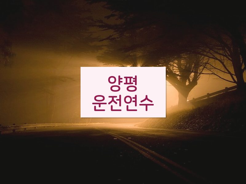 양평운전연수 후기