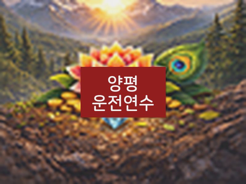 양평운전연수 후기