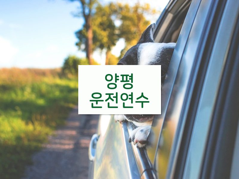 양평운전연수 후기