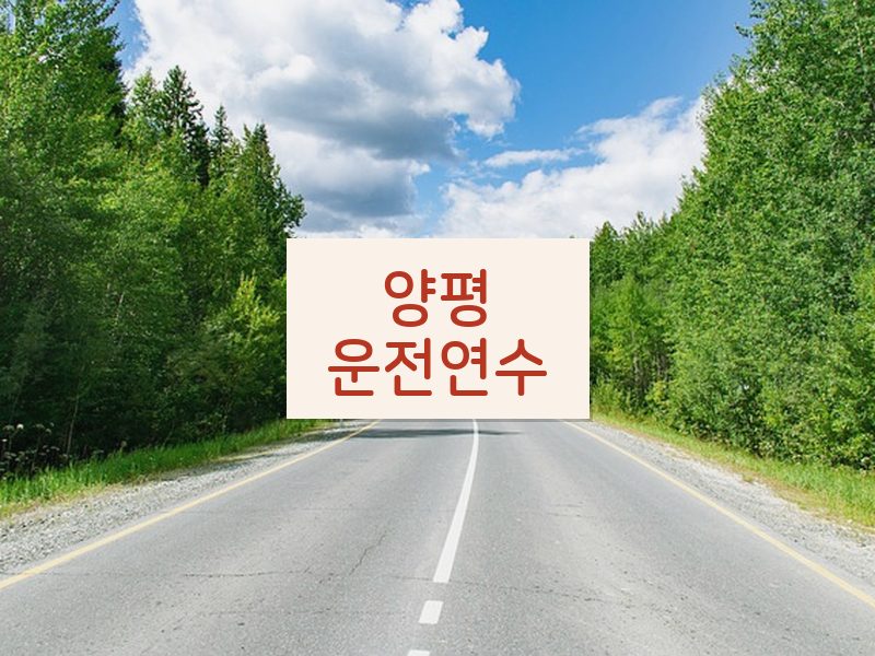 양평운전연수 후기