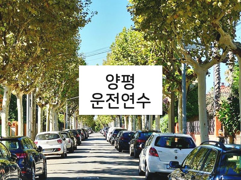 양평운전연수 후기