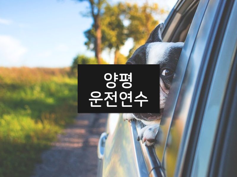 양평운전연수 후기