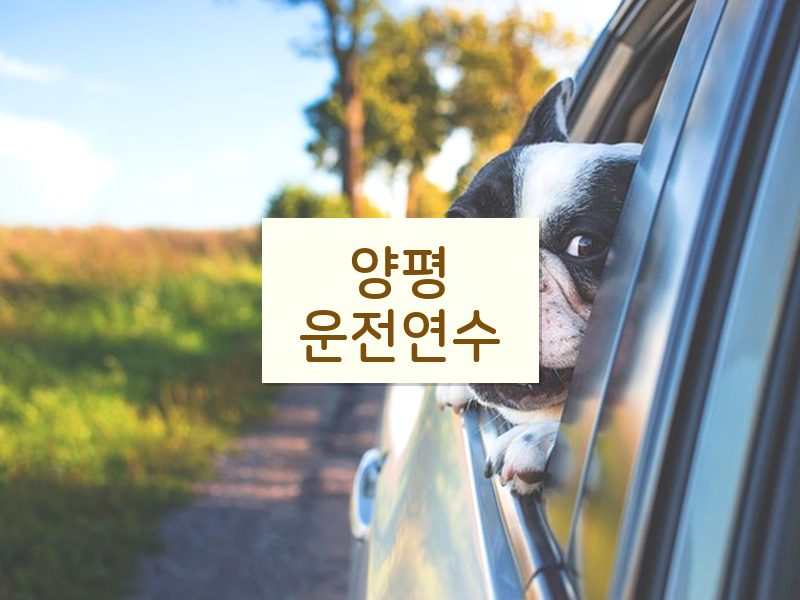 양평운전연수 후기