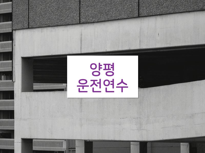 양평운전연수 후기