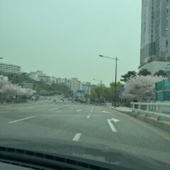 양평초보운전연수 대만족