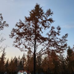 친구와의 자유로운 여행