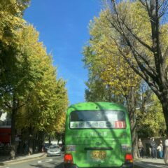 개별 맞춤 코스