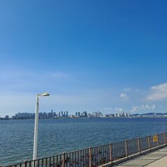 고속도로 합류 두려움