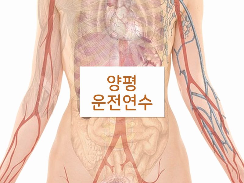 양평운전연수 후기